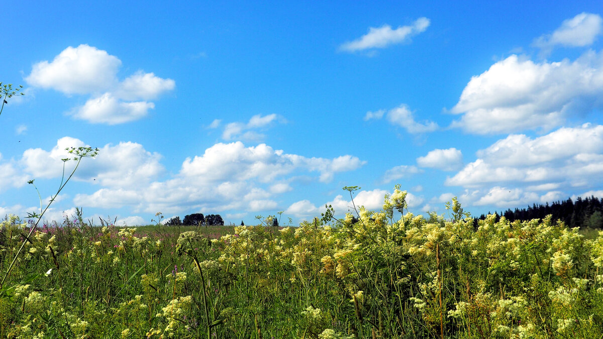 Подмосковные Пейзажи - юрий поляков