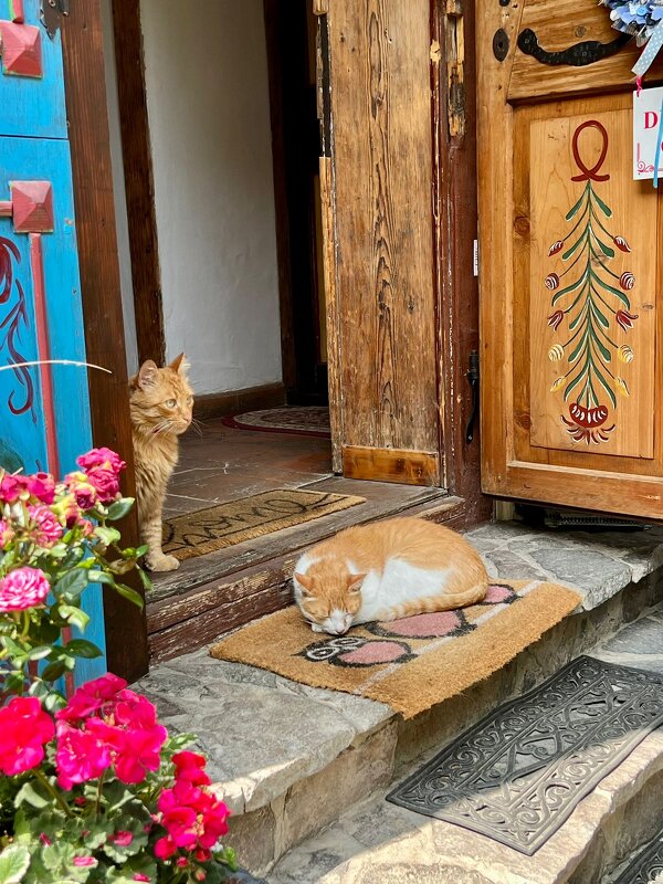 Хозяюшки - А  И М