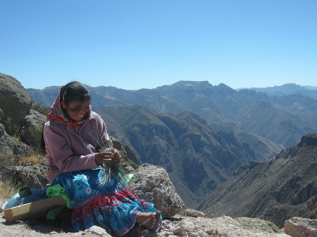 Плетенье. - unix (Илья Утропов)