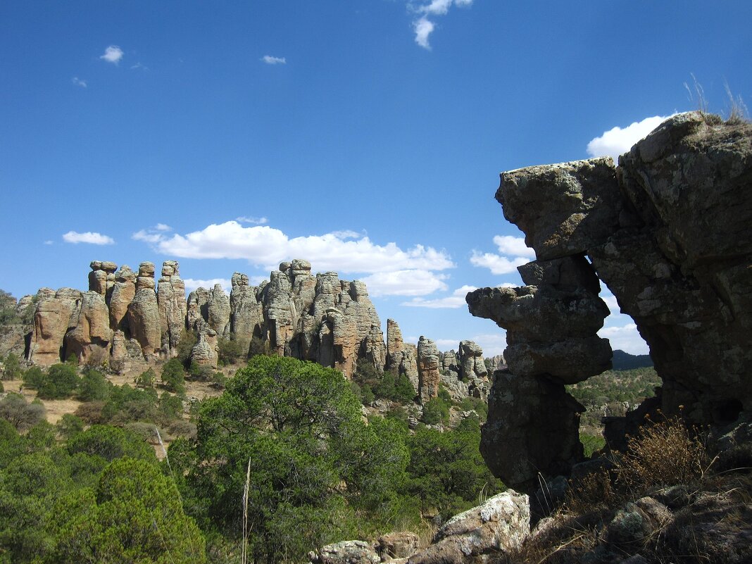 В Национальном парке Сьерра-де-Органос, Мексика. - unix (Илья Утропов)