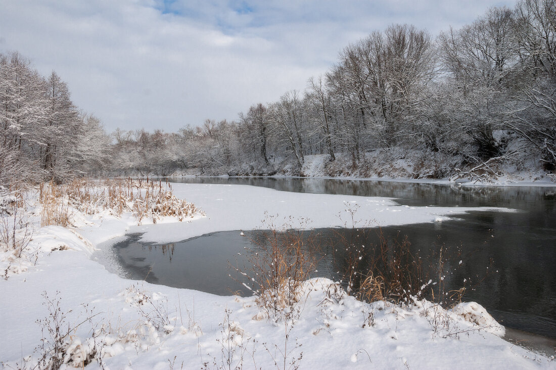 На Медведице - Елена П На Медведице - Елена П