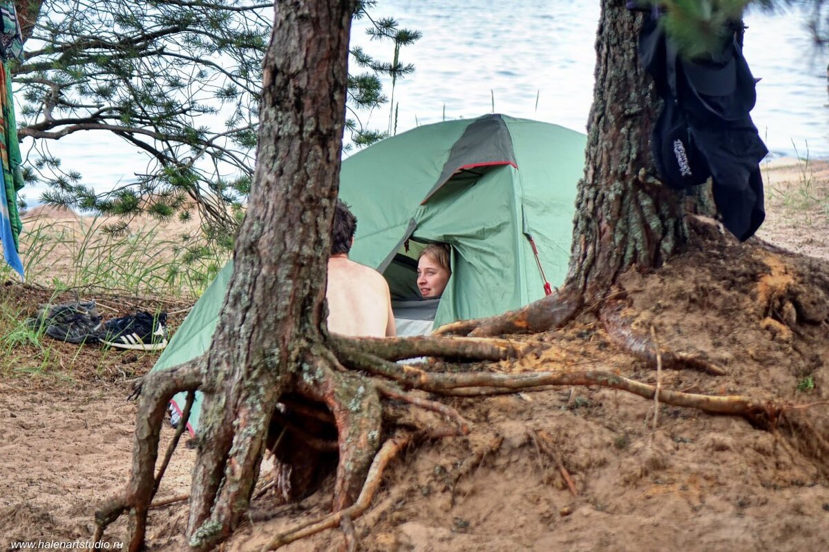 Палаточный выползень - Игорь Корф