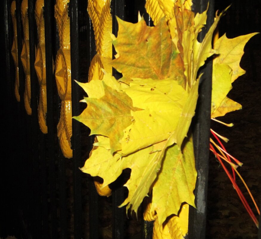 Скоро осень - Натали 