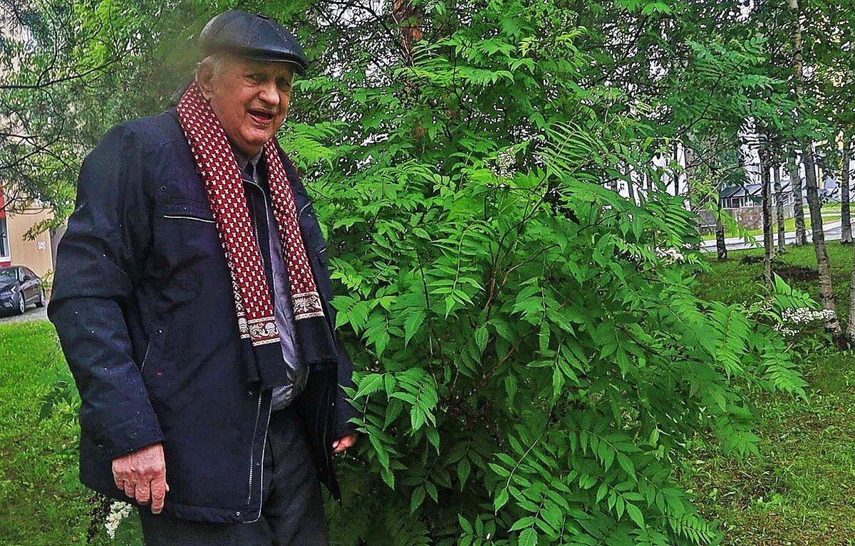 Июль...Я  у куста цветущего рябинника! - Владимир 