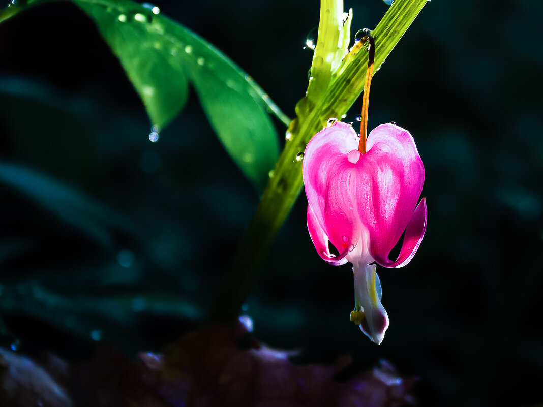 Фонарик. - Игорь Викторов