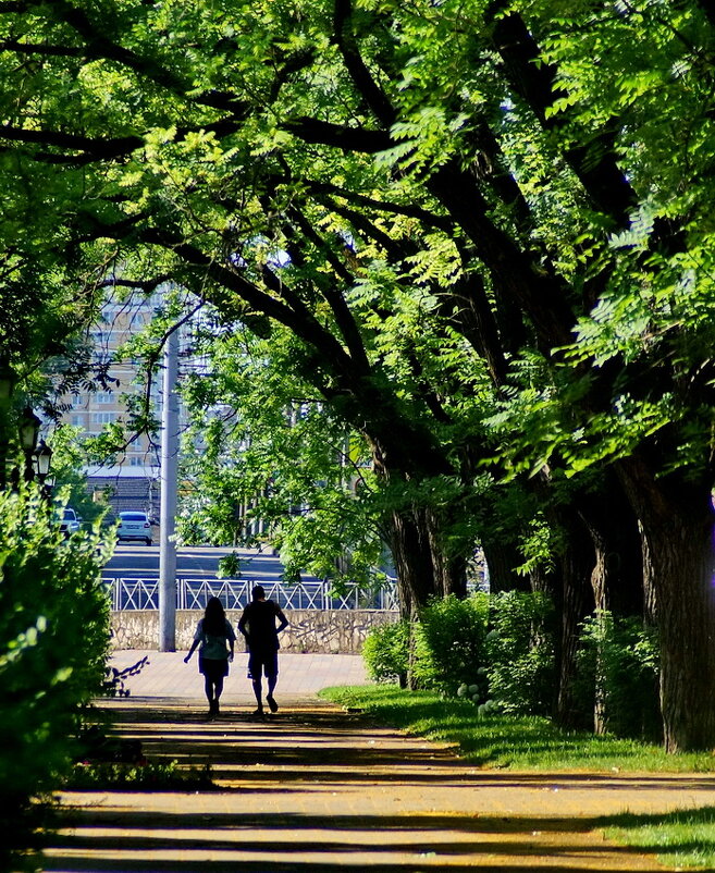 На прогулке... - Николай Саржанов