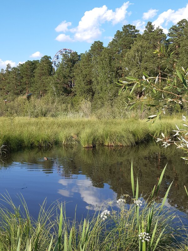 Июль - середина лета - Галина Минчук Июль - середина лета - Галина Минчук