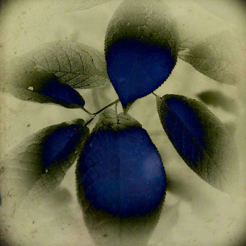 Назва. отсу. - Денис Безногов