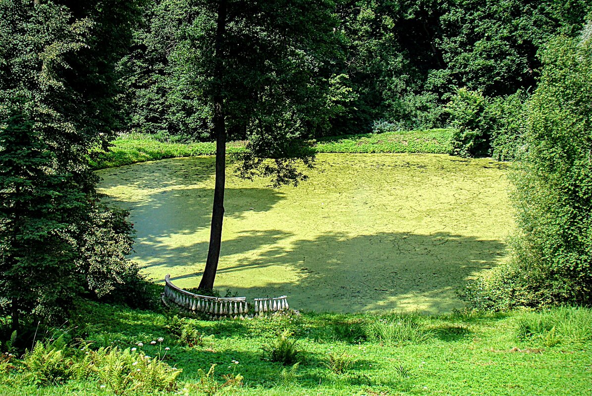 Малый пруд - Анатолий Колосов