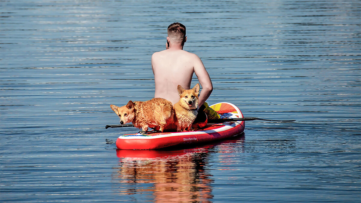 Двое в лодке, не считая мужика - Alexandеr P