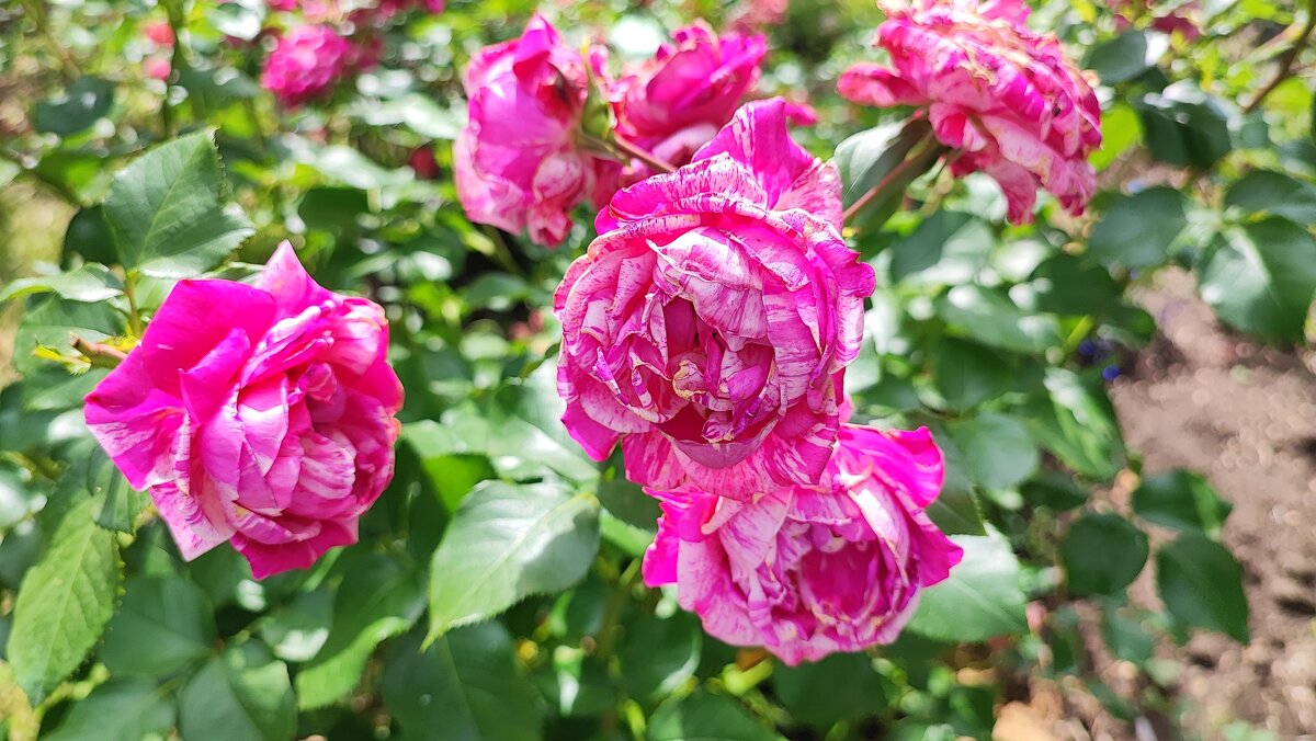 ,,, - Сергей Тимоновский