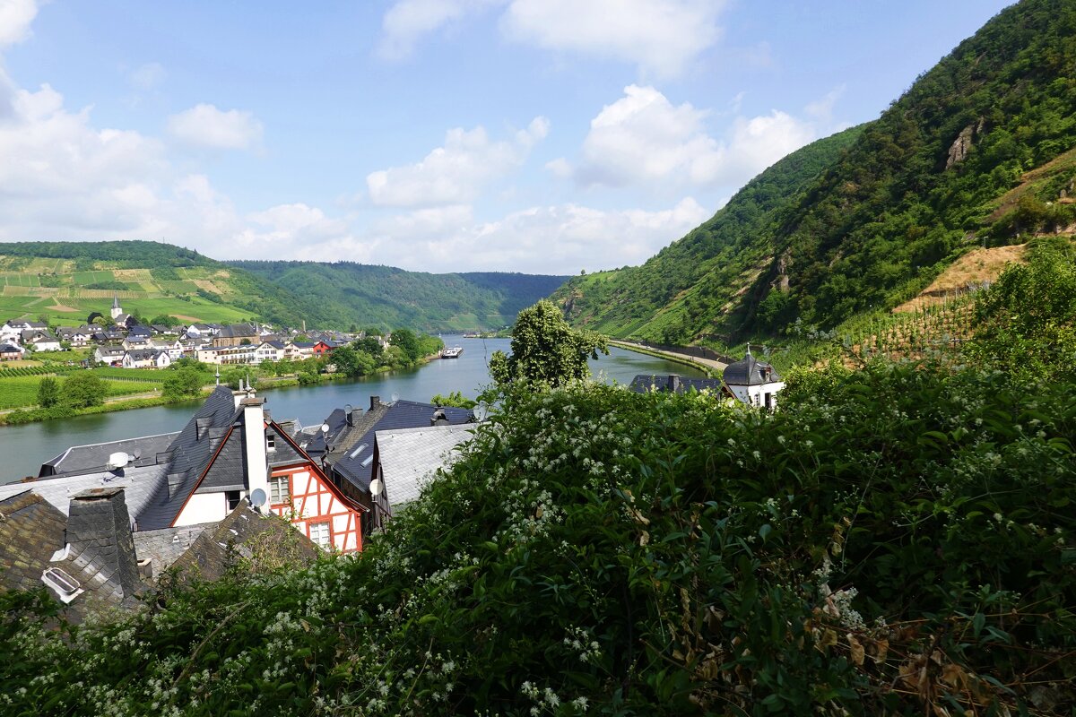 Долина Мозеля — один из самых живописных уголков Германии - Галина 