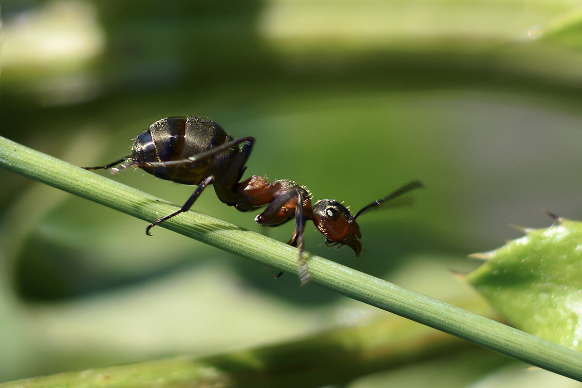 По  наклонной - Геннадий Супрун