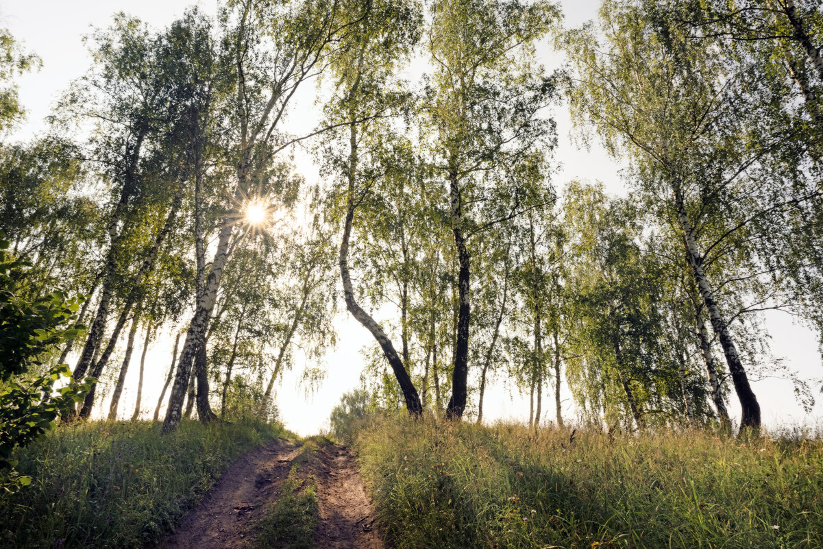 Свет - sorovey Sol