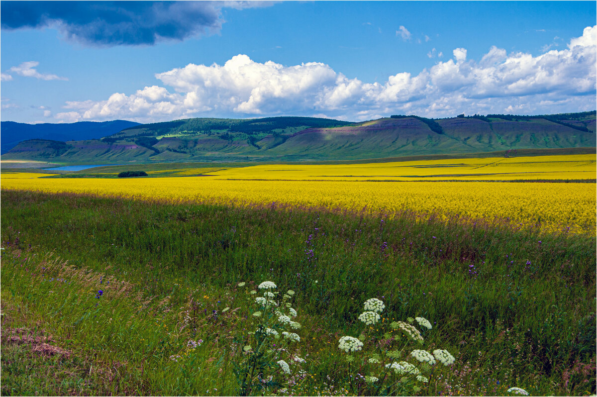 *** - Алексей Мезенцев