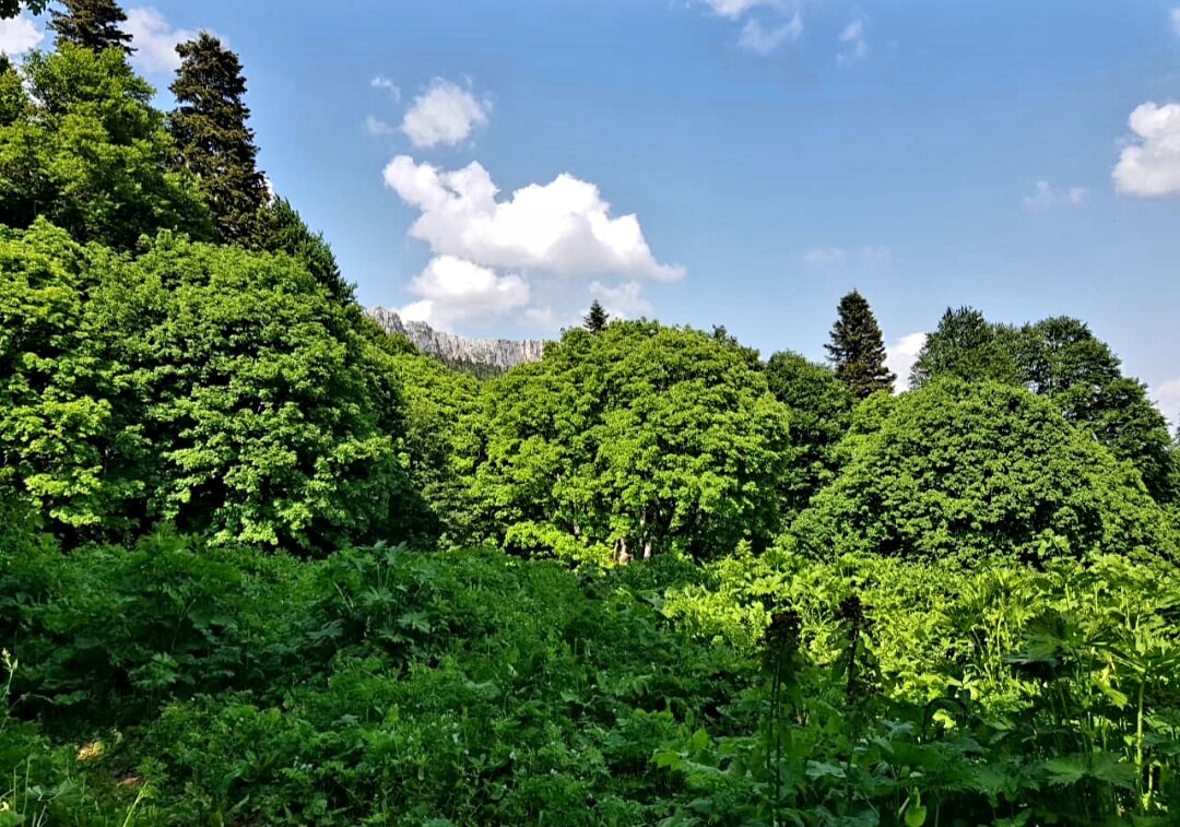 СЕВЕРНЫЙ КАВКАЗ - Tata Wolf