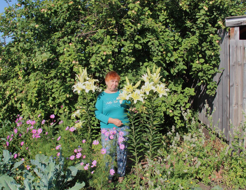 Мой сад. - Венера Чуйкова Мой сад. - Венера Чуйкова