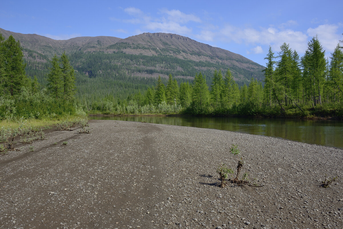 *** - Александр Хаецкий