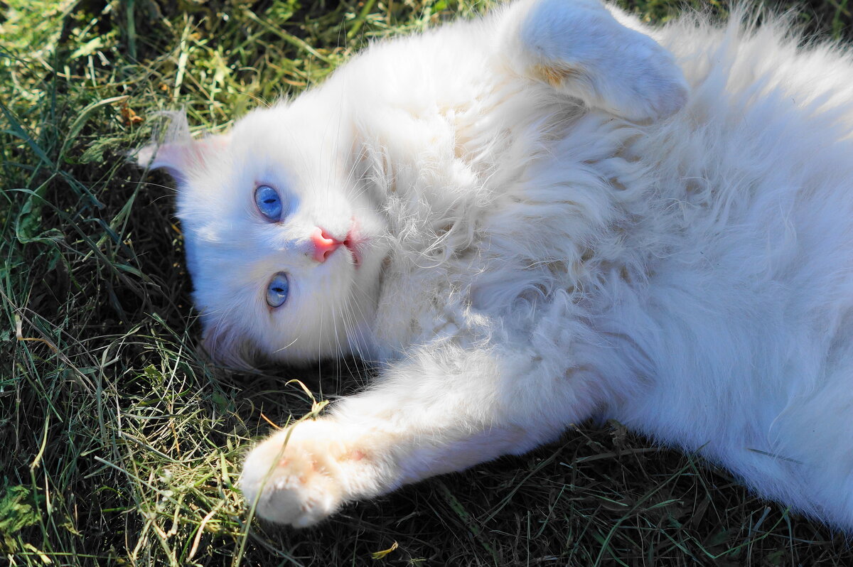 ... - Сергей Ц