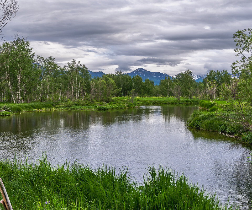 .... - Жора Житников .... - Жора Житников