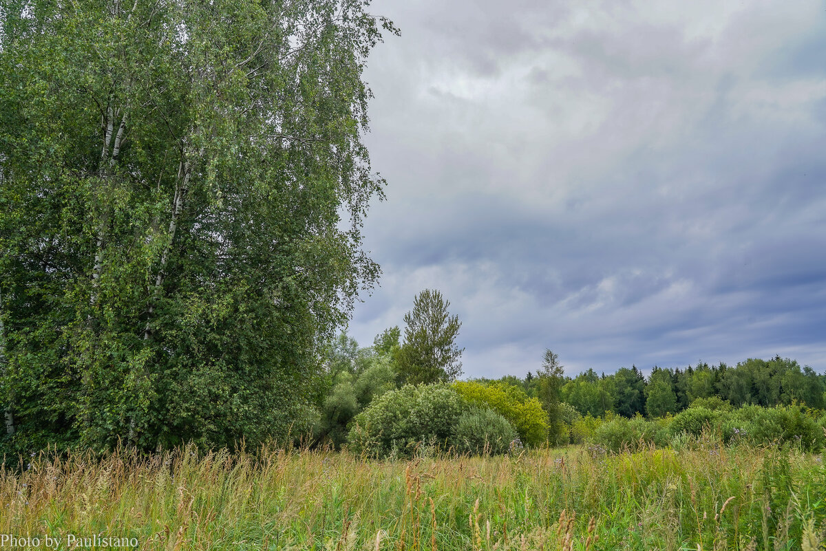 На опушке... - Владимир Жданов На опушке... - Владимир Жданов