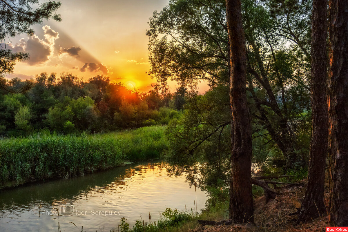 Вечер на Северском Донце - Игорь Сарапулов Вечер на Северском Донце - Игорь Сарапулов