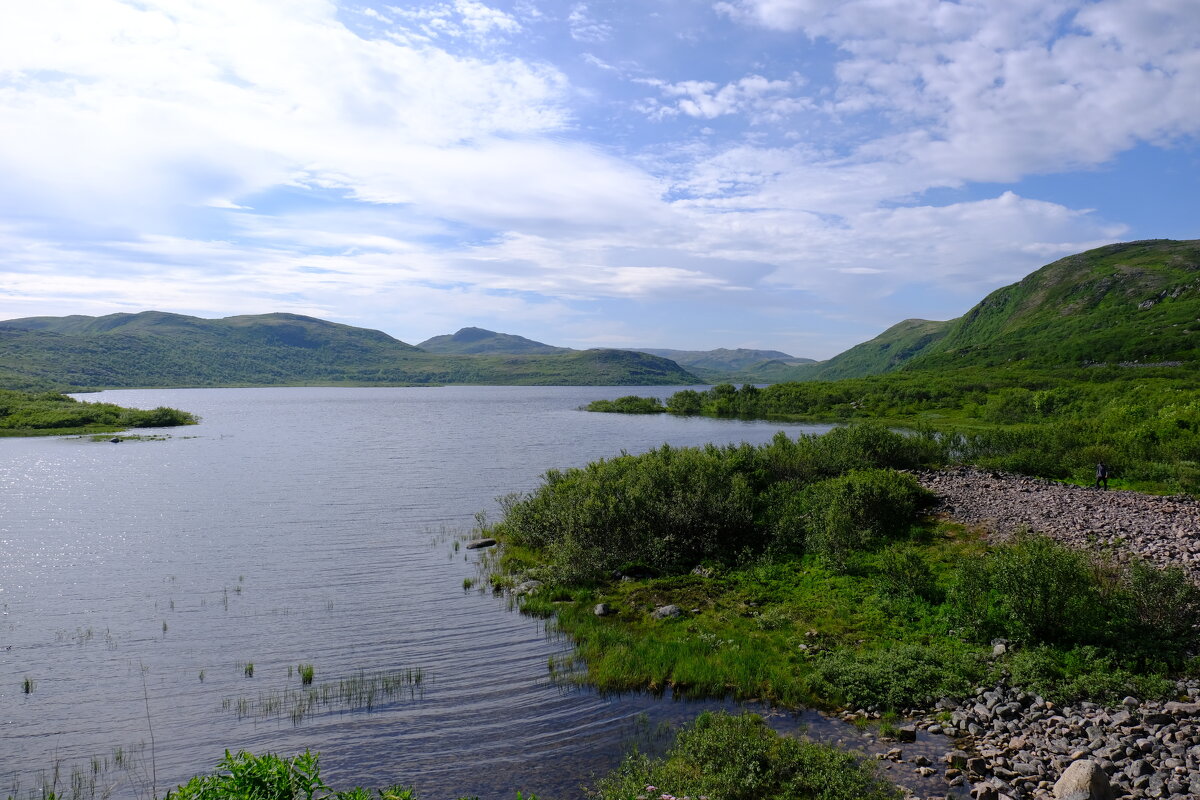 Природа Кольского - Андрей Зайцев