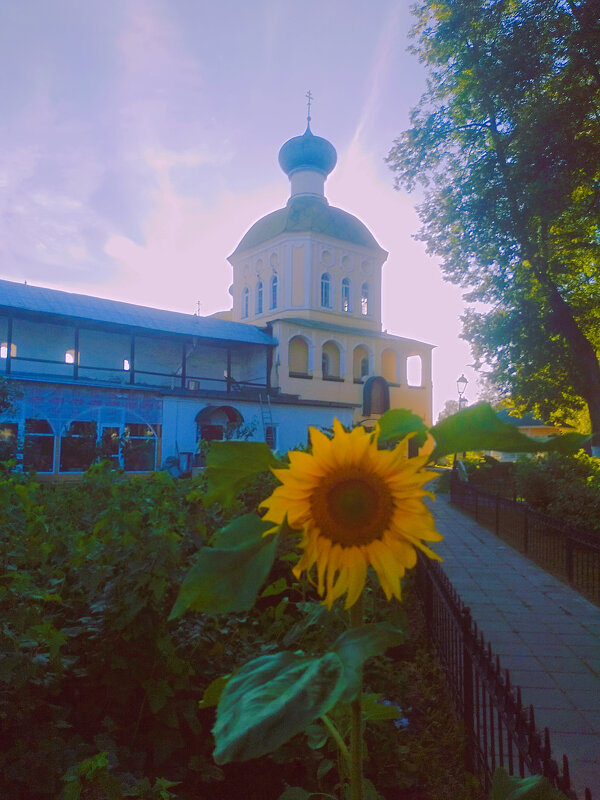 Летний вечер - Сергей Кочнев