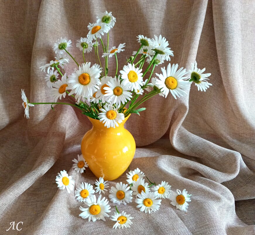 Тёплые мгновения лета! - Любовь Сахарова