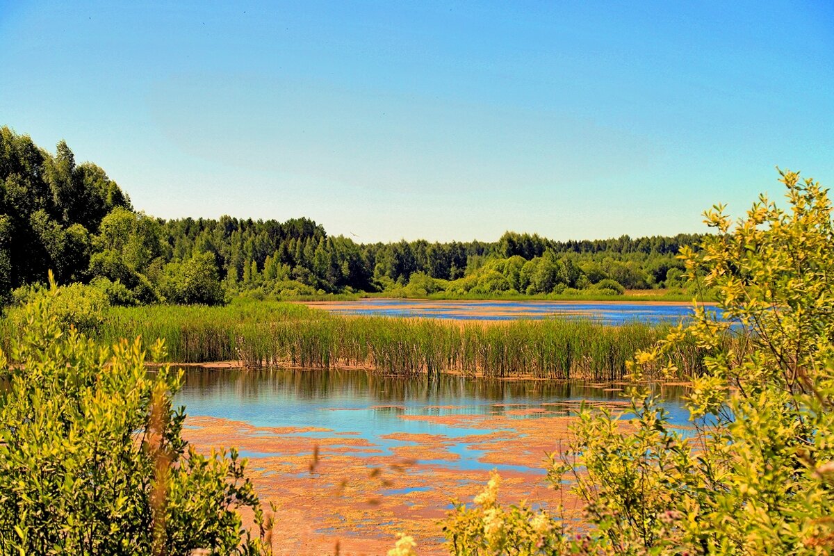 озеро - Владимир иванов