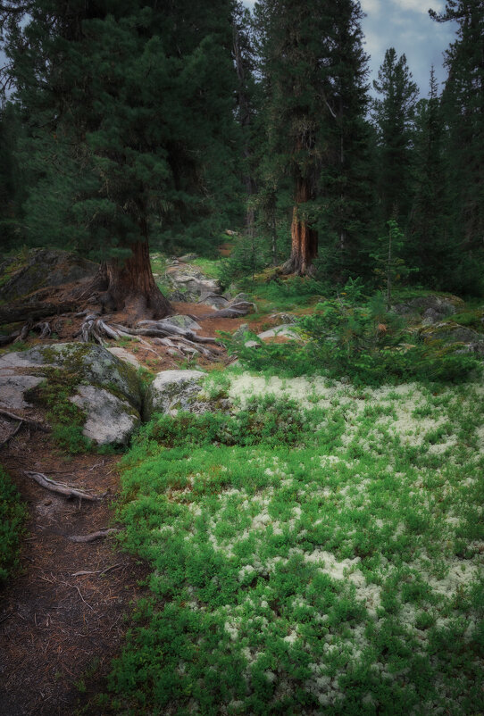 * - Александр Иванов