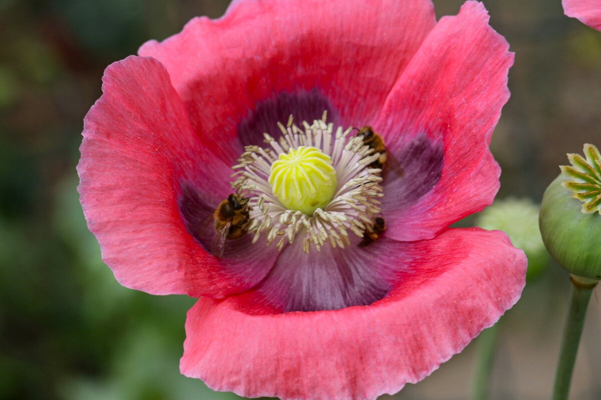 Доброе утро - Юрий. Шмаков