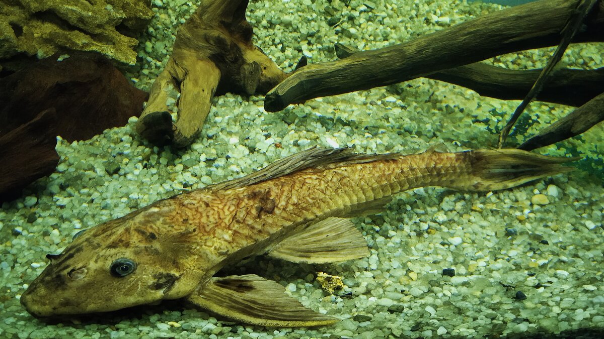 зоопарк Воронеж - Елена Шаламова