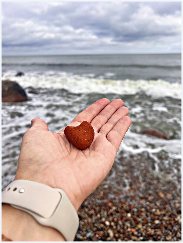 Сердце бухты. - Валерия Комова