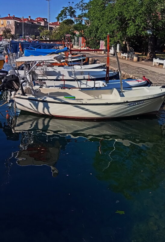 Однажды летним утром.. - Татьян@ Ивановна