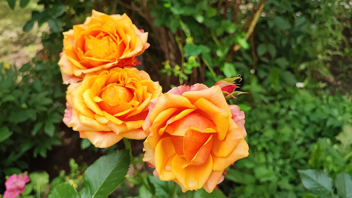 ,,, - Сергей Тимоновский