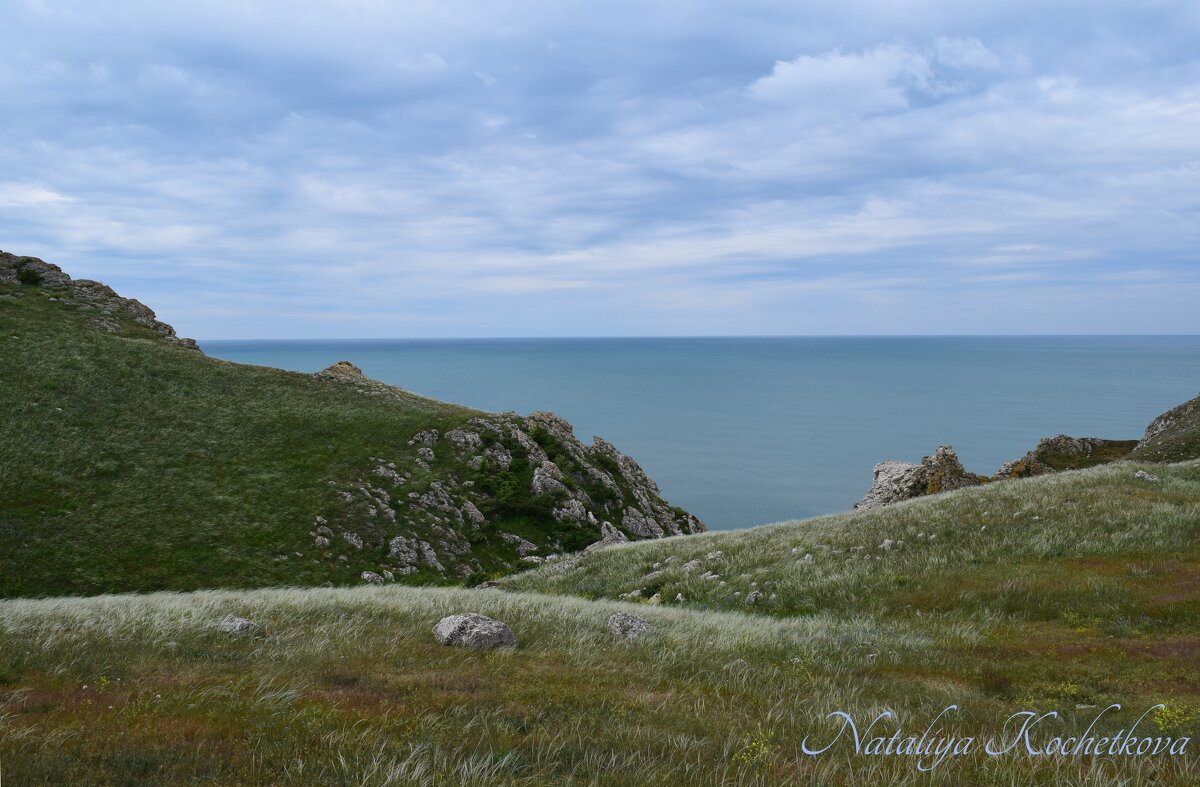 Природа Крыма - Amazing Cosmea