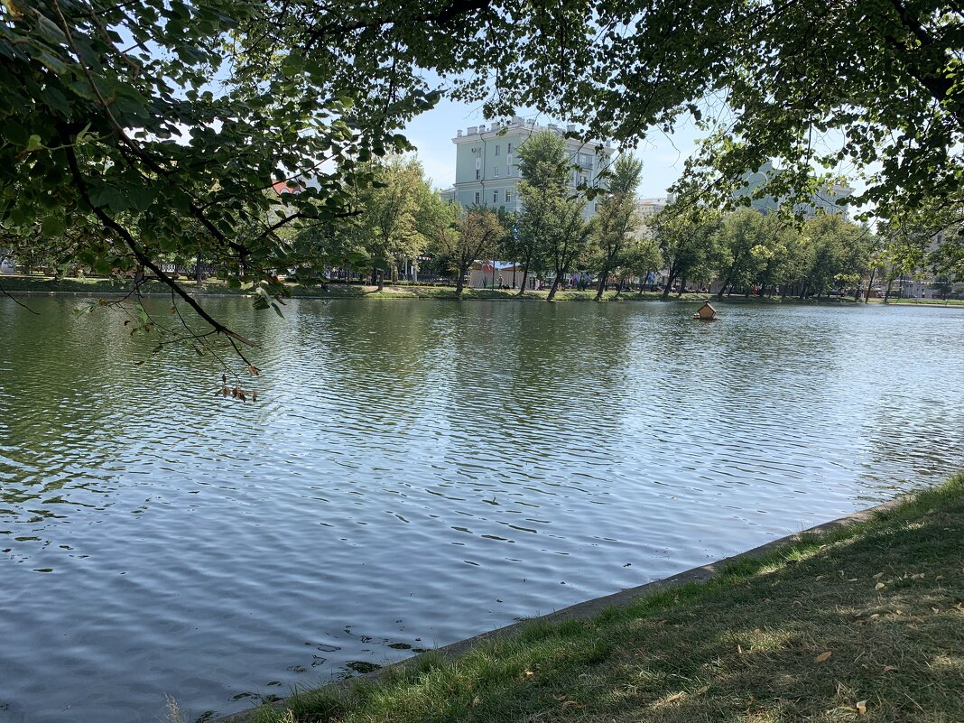 Чистые пруды - Alexandra Sakharova