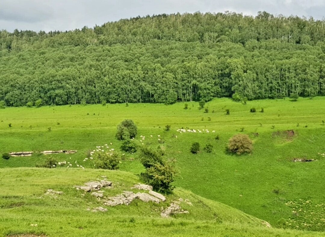 СЕВЕРНЫЙ КАВКАЗ - Tata Wolf