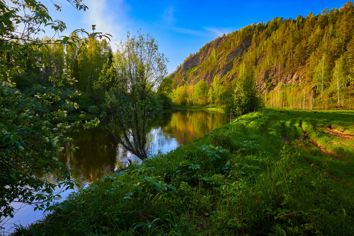Был тёплый вечер мая. - Юрий кот