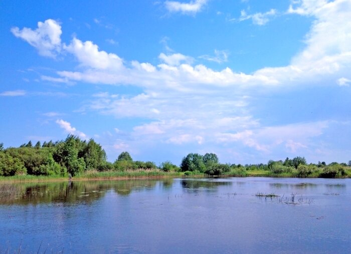 *   *   * - Елена 