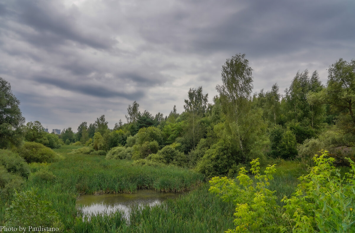 Хмурый июль... - Владимир Жданов Хмурый июль... - Владимир Жданов