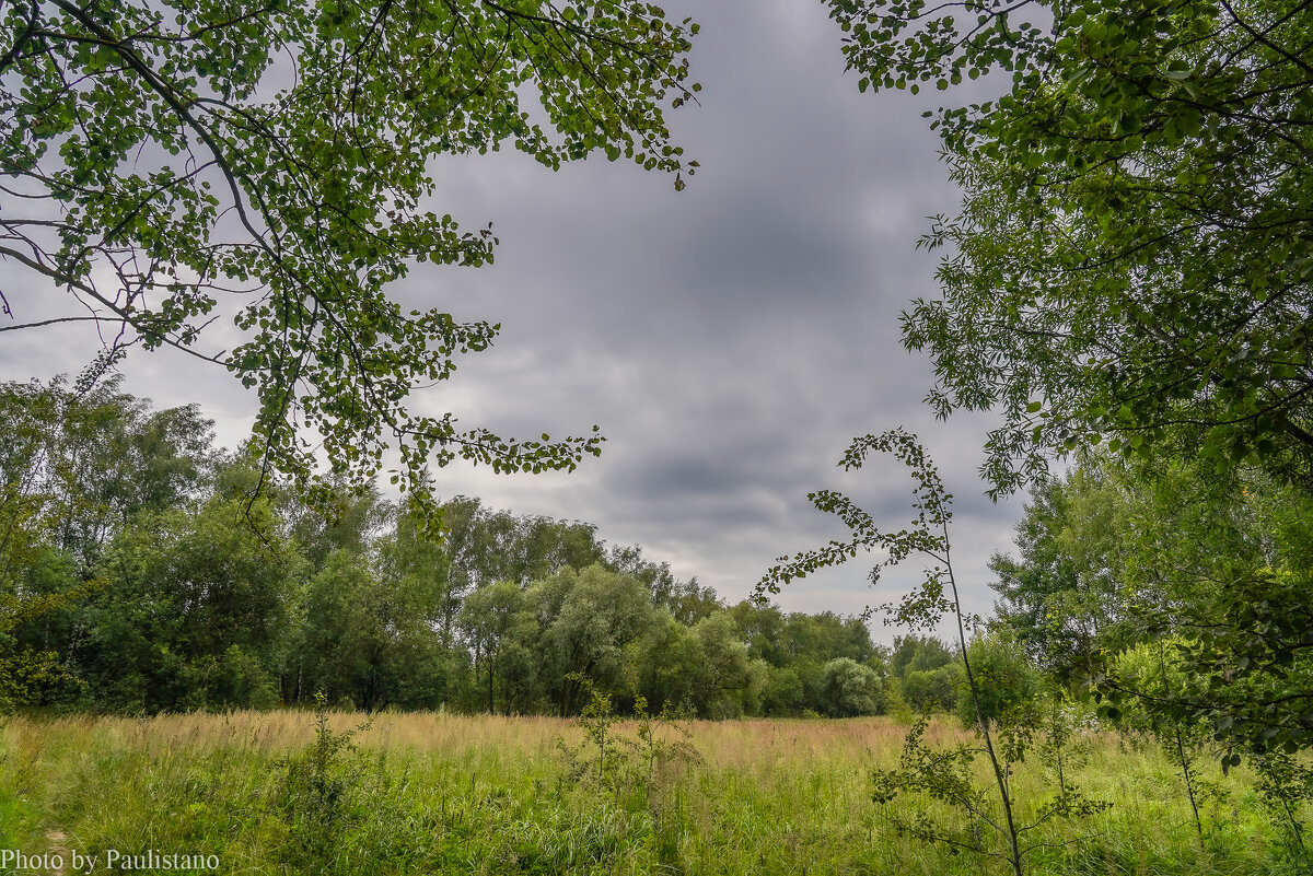 Хмурый июль... - Владимир Жданов