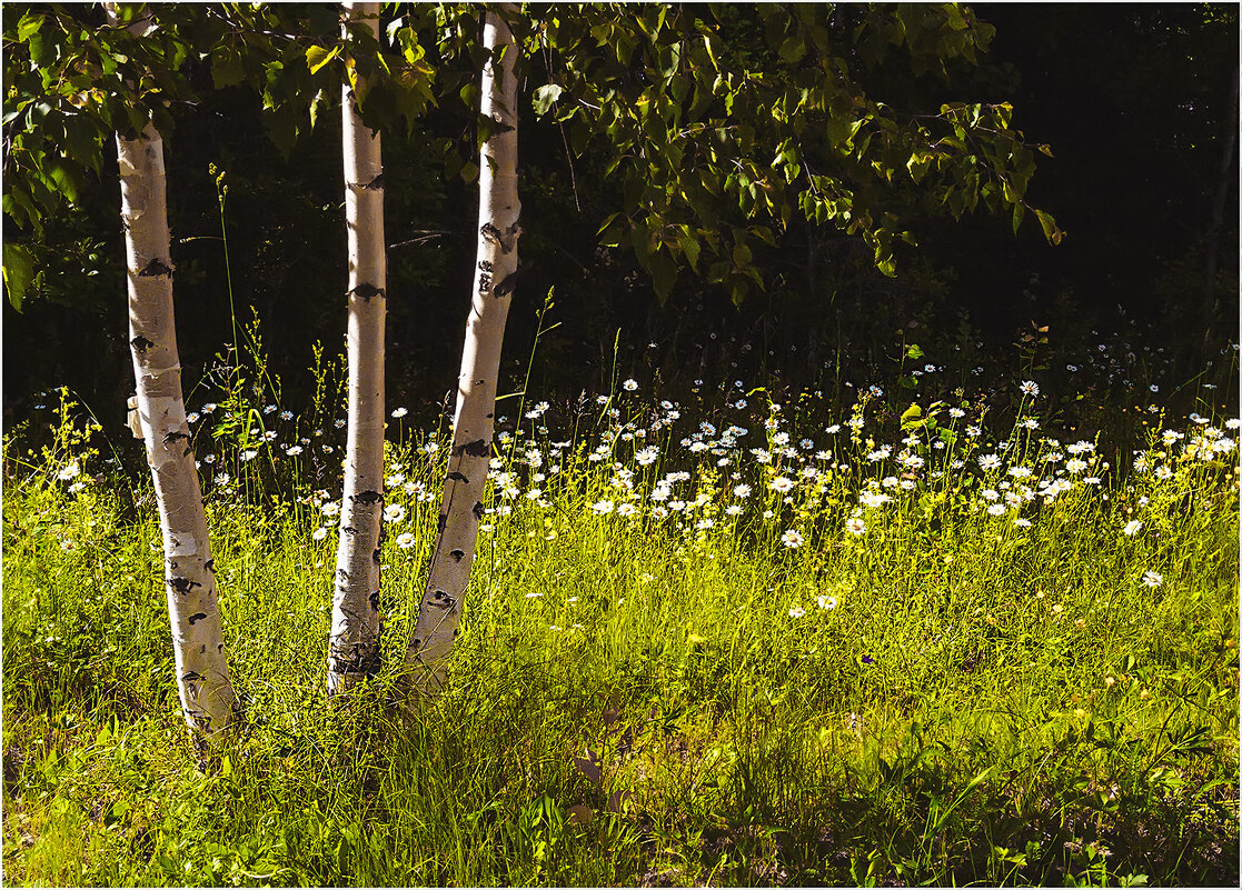 На солнечной поляночке - Валентин Котляров