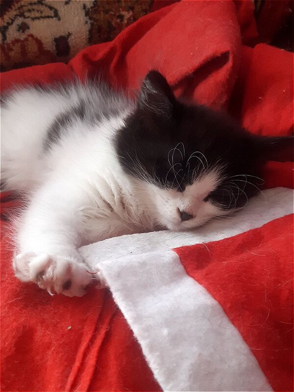 Сладкий сон! - Нина Андронова