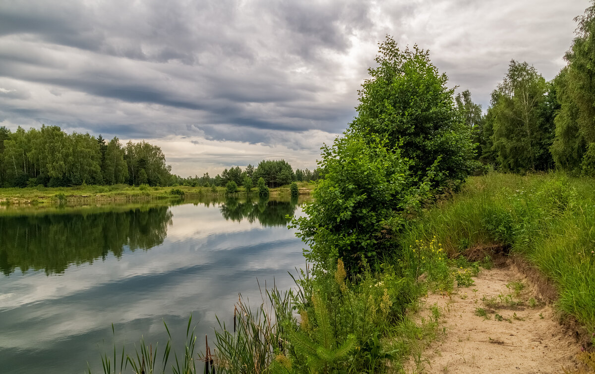 Рыбное место 2 - Андрей Дворников Рыбное место 2 - Андрей Дворников