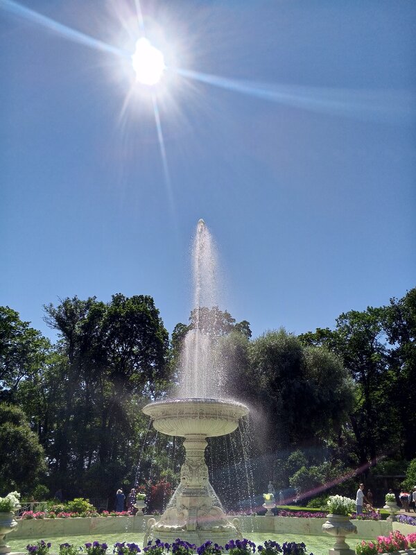 Фонтан - Сапсан 