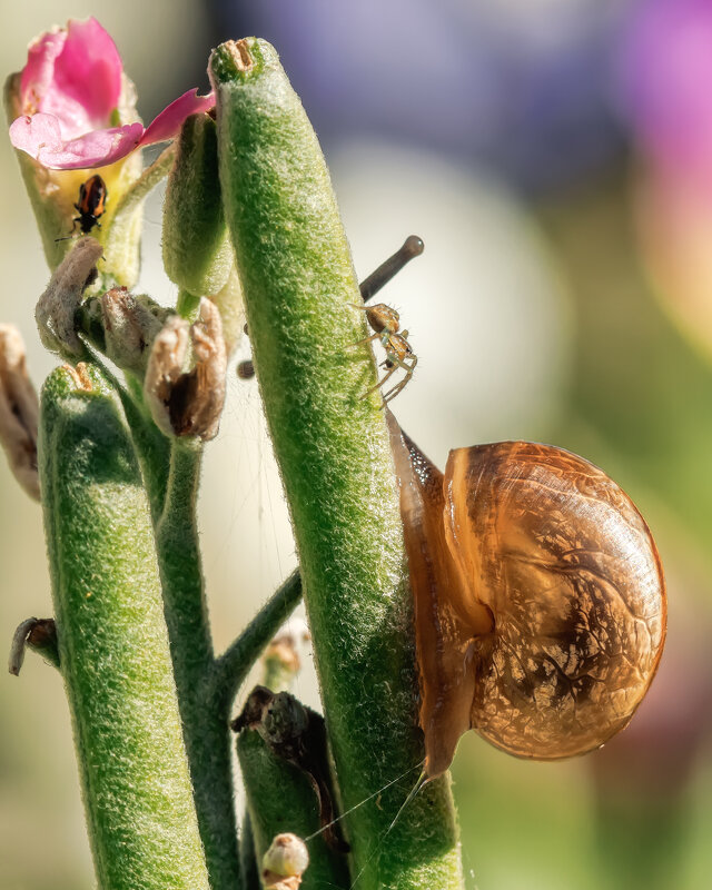 Про макро - Владимир Колесников