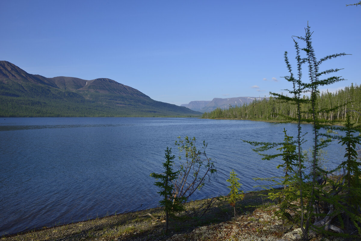 *** - Александр Хаецкий