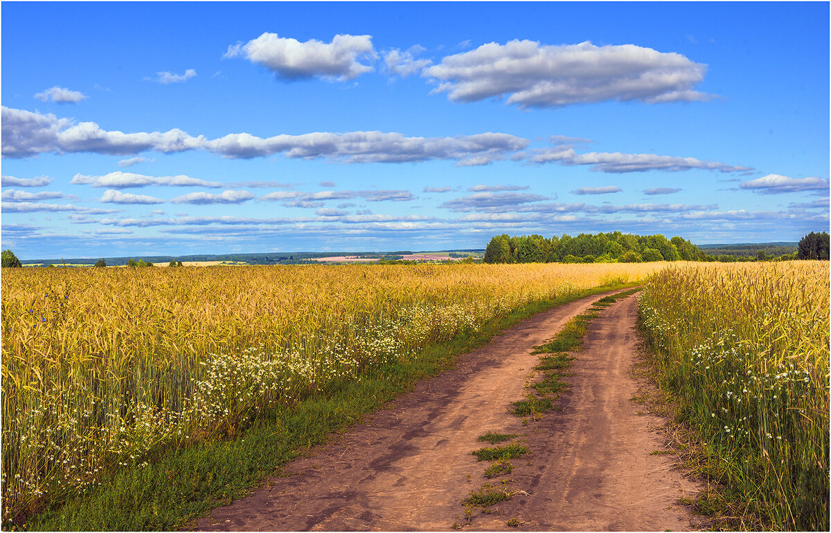 Родные просторы - Валентин Котляров Родные просторы - Валентин Котляров